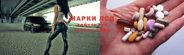 эйфоретик Баксан