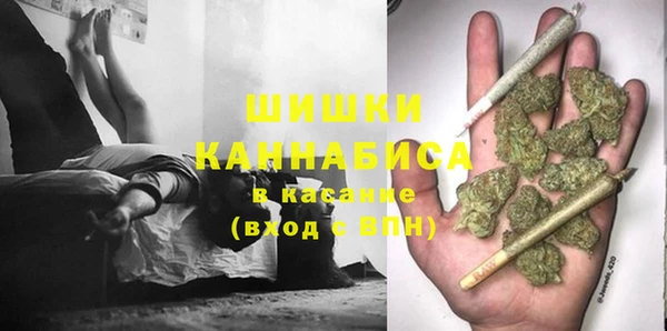 a pvp Аркадак
