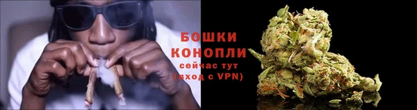 эйфоретик Баксан